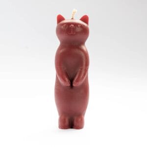 Decoración de Otoño Original | Vela artesanal de gato | Ginger