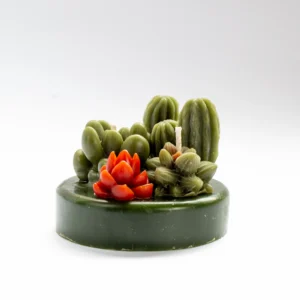 vela terrario de cactus y suculentas en cera de abeja vertidas a mano una a una en Lucy´s Luz