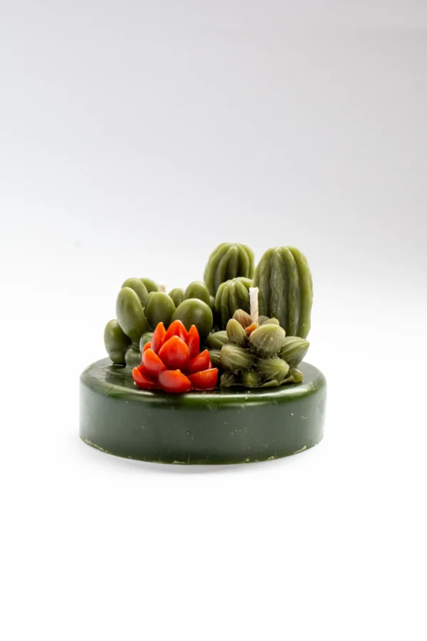 vela terrario de cactus y suculentas en cera de abeja vertidas a mano una a una en Lucy´s Luz