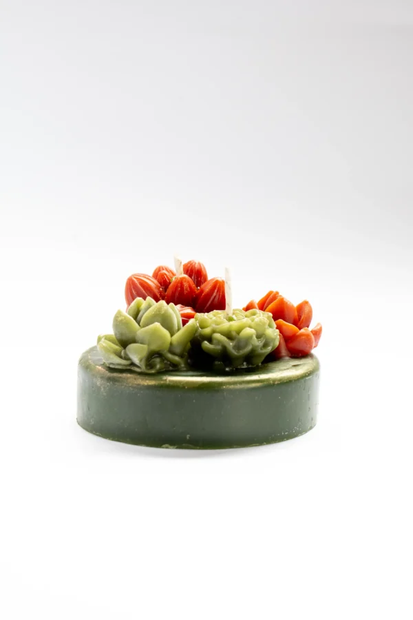 vela terrario de cactus y suculentas en cera de abeja vertidas a mano una a una en Lucy´s Luz