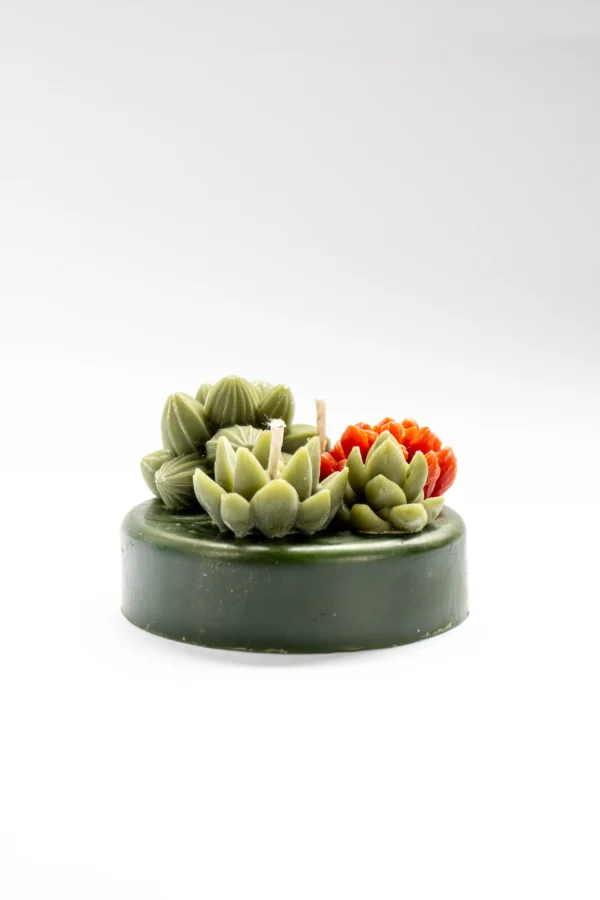 vela terrario de cactus y suculentas en cera de abeja vertidas a mano una a una en Lucy´s Luz