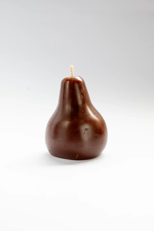 vela de fruta de otoño, hecho a mano en cera de abeja en lucy´s luz