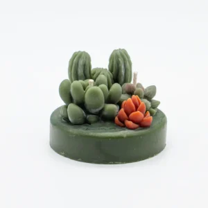 vela terrario de cactus y suculentas en cera de abeja vertidas a mano una a una en Lucy´s Luz