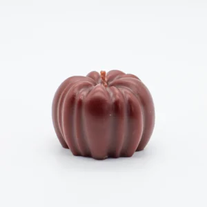 Decoración de otoño para cocina, hecha a mano en lucy´s luz, vela en forma de tomate para decorar en color rojo