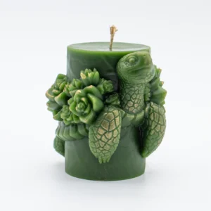 Velas de cera de abeja diseños florales en forma de tortugas y cactus para amantes de las plantas y regalo perfecto para el dia de la madre hecho a mano en Lucy´s Luz en verde